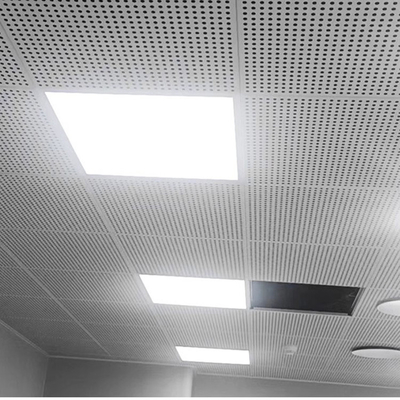 Personnalisation feuille de treillis de plafond décoratif pour la treillis métallique enduit de poudre
