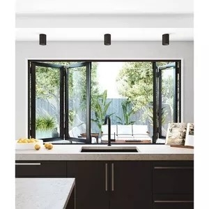Le verre extérieur d'alliage d'aluminium de façade pliant Windows Bifold et les portes ont exposé le cadre